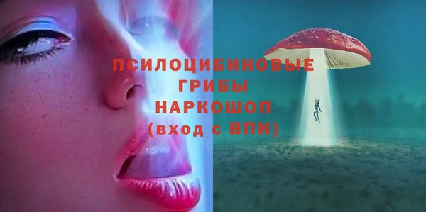 стафф Краснослободск