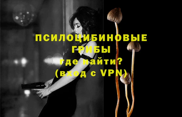 стафф Краснослободск